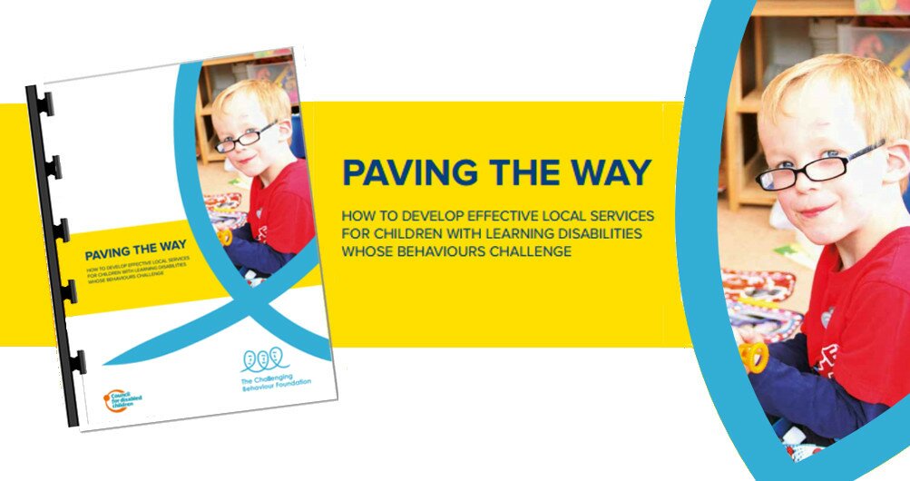Promotional image for the free Paving the Way report